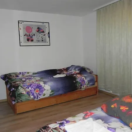 Apartma Car Apartman Dolenja Trebuša